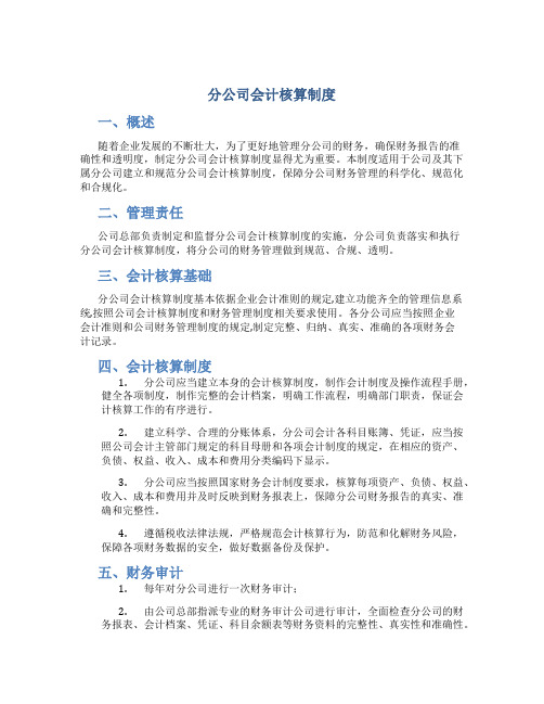 分公司会计核算制度