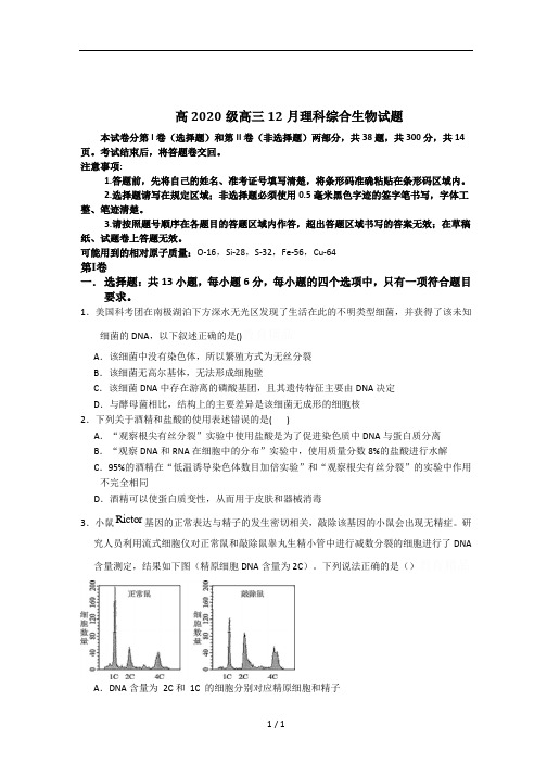 高2020级高三12月理科综合生物试题