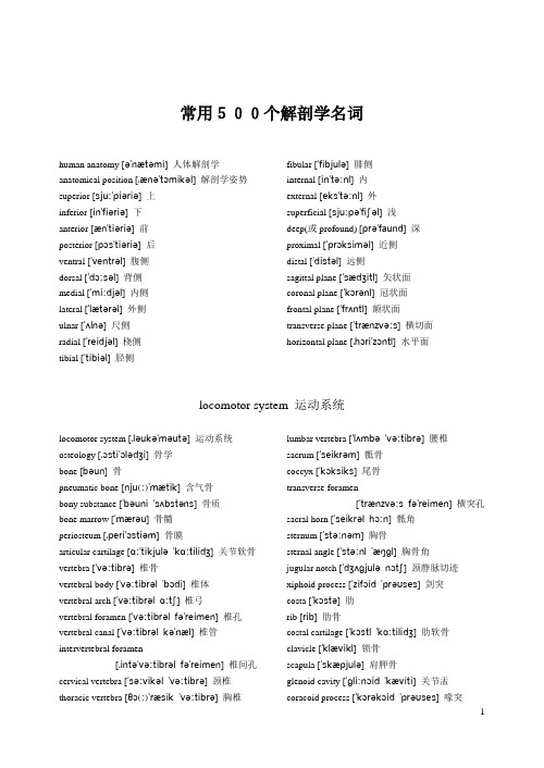 研究生复试常考解剖学名词含音标