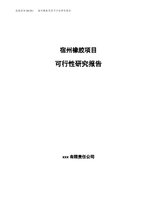 宿州橡胶项目可行性研究报告