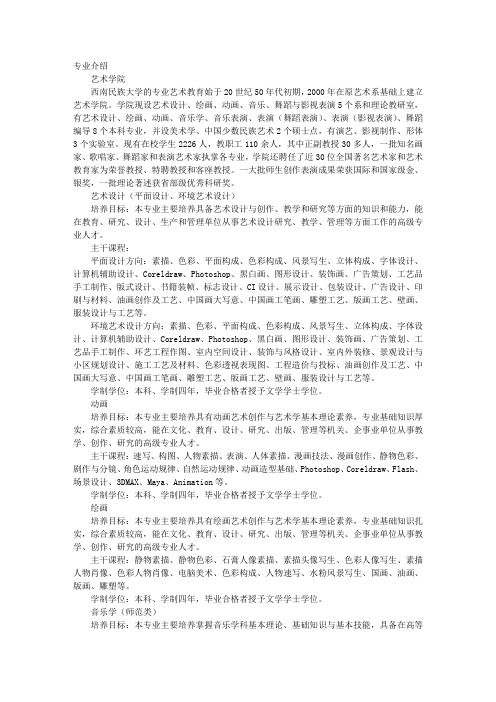 西南民族大学艺术学院专业介绍