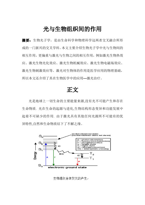 生物光子学报告