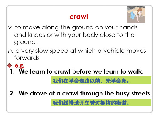 新标准大学英语words for Unit2