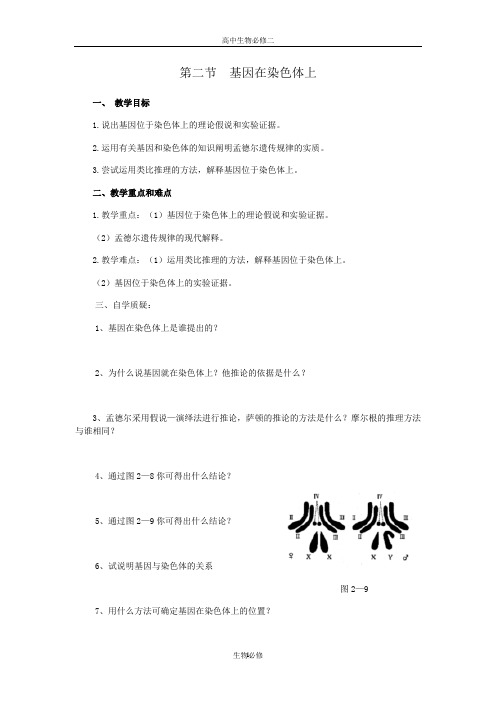 人教版教学教案必修二第二节基因在染色体上学案