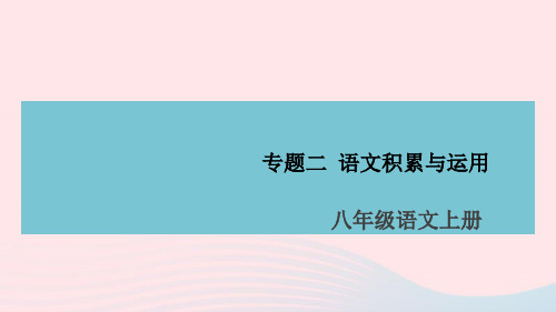 (安徽专版)八年级语文上册专题二语文积累与运用课件新人教版