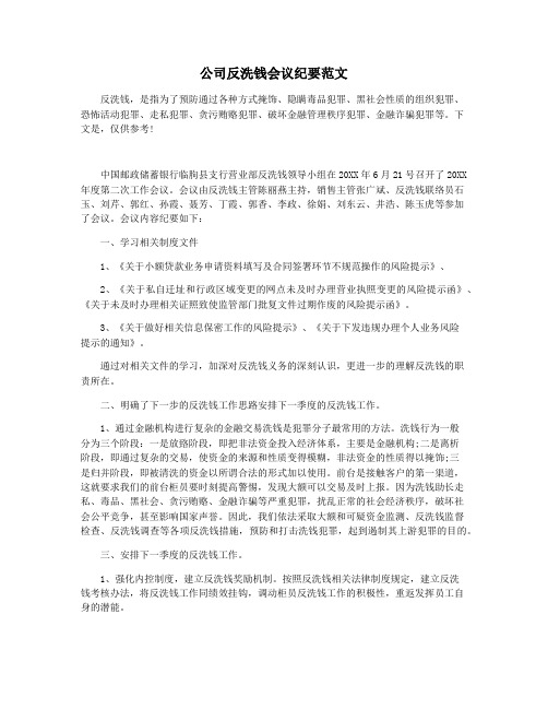 公司反洗钱会议纪要范文