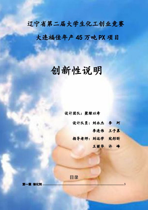 创新性说明