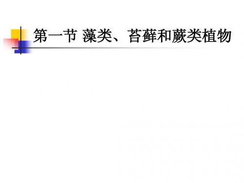 藻类、苔藓、蕨类 PPT课件