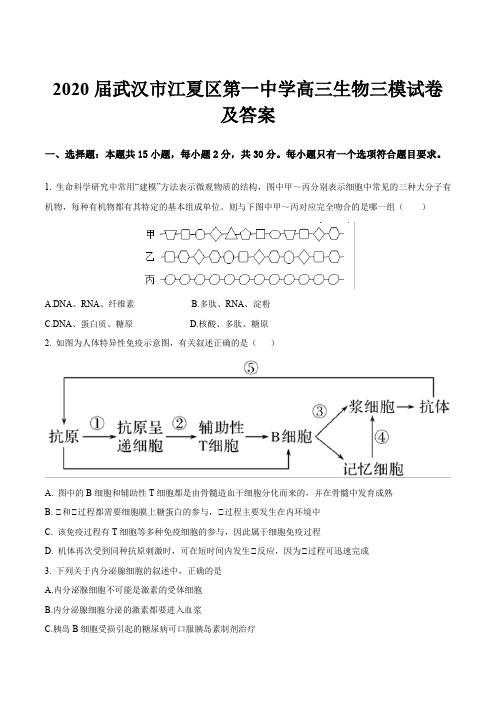 2020届武汉市江夏区第一中学高三生物三模试卷及答案