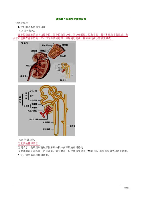 肾功能及早期肾损伤的检查