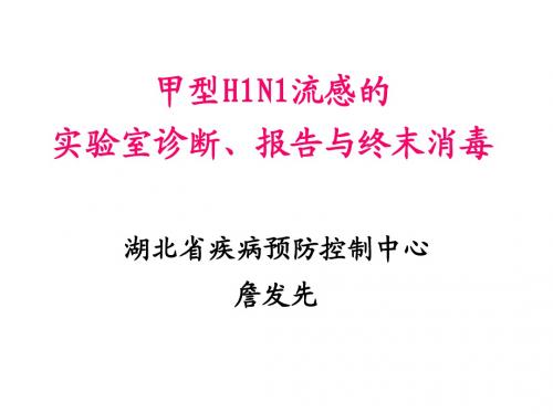 甲型H1N1流感的实验室诊断、报告、消毒(湖北省疾病预防控制中心主任詹发先)