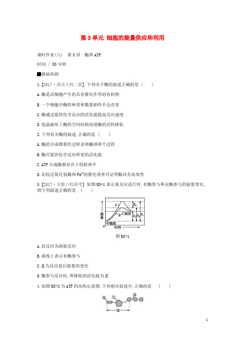 高考生物一轮复习 第3单元 细胞的能量供应和利用作业