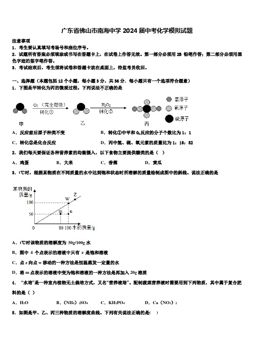 广东省佛山市南海中学2024届中考化学模拟试题含解析