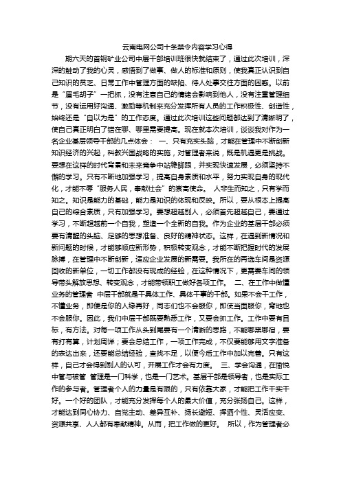 云南电网公司十条禁令内容学习心得