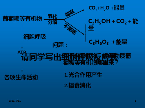 高中生物必修1第3章第5节《光合作用》课件【浙科版】