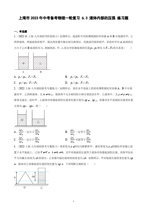 上海市2023年中考备考物理一轮复习 6