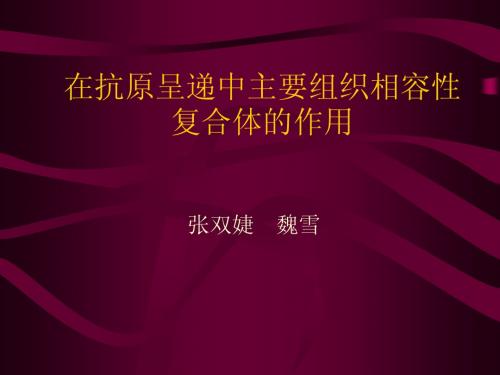 在抗原呈递中主要组织相容性复合体的作用