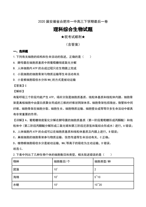 2020届安徽省合肥市一中高三下学期最后一卷理科综合生物试题及解析