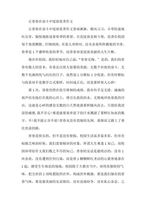 让青春在奋斗中绽放作文精选