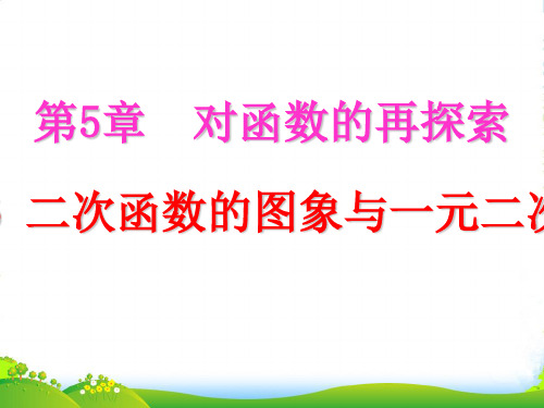 青岛版九年级数学下册第五章《二次函数的图像与一元二次方程》公开课课件1