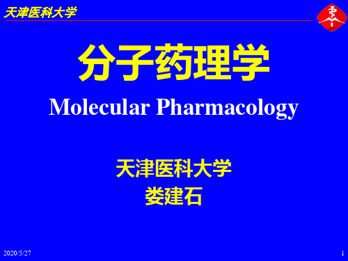 分子药理