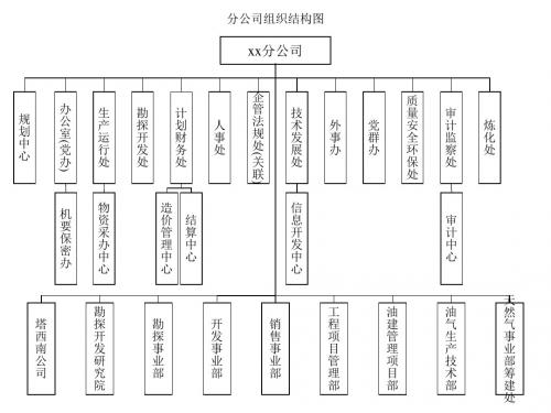 公司组织机构图ppt课件