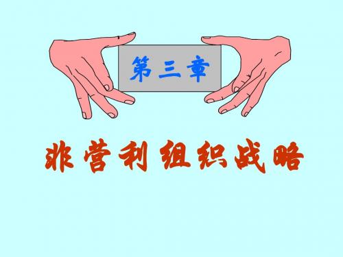 第三章 非营利组织战略