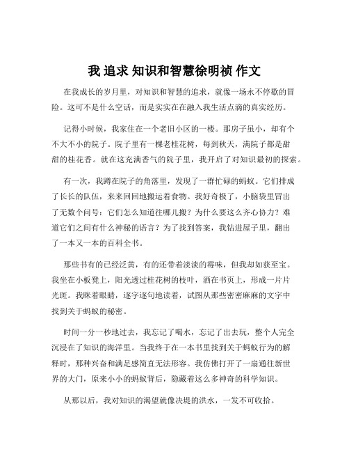 我 追求 知识和智慧徐明祯 作文