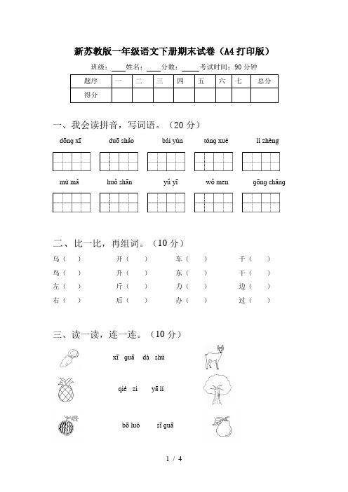 新苏教版一年级语文下册期末试卷(A4打印版)