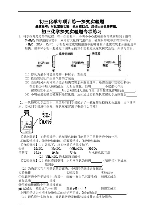 初三化学探究实验专项训练(含基础训练与能力提升)有答案(1)