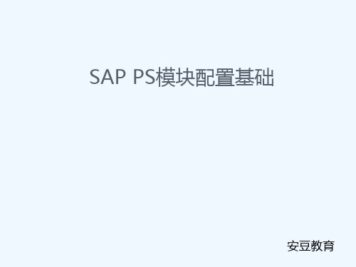 SAPPS模块配置基础知识概述