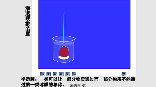 物质的输入和输出PPT课件