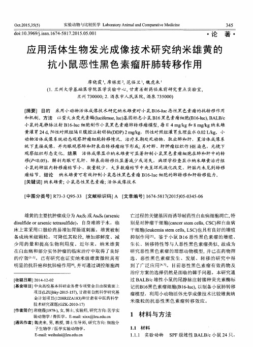 应用活体生物发光成像技术研究纳米雄黄的抗小鼠恶性黑色素瘤肝肺