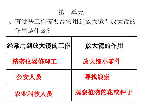 教科版六年级科学活动手册(下)科学活动手册练习题