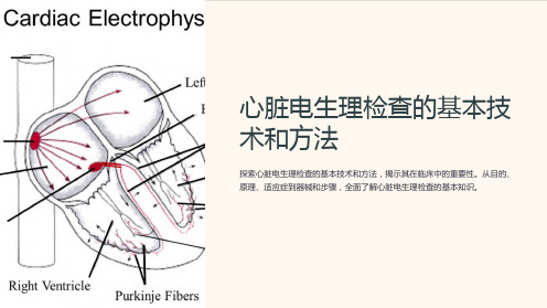 心脏电生理检查的基本技术和方法ha