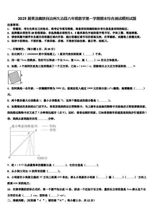 2025届果洛藏族自治州久治县六年级数学第一学期期末综合测试模拟试题含解析