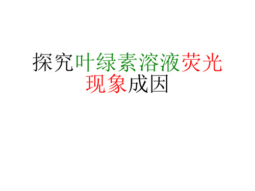 探究叶绿素溶液荧光现象成因