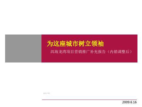 大理洱海龙湾项目营销推广补充报告