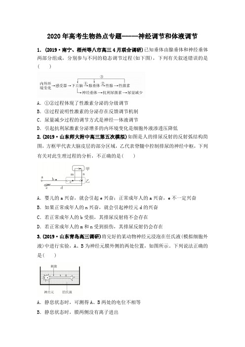 2020年高考生物热点专题 神经调节和体液调节(附答案解析)