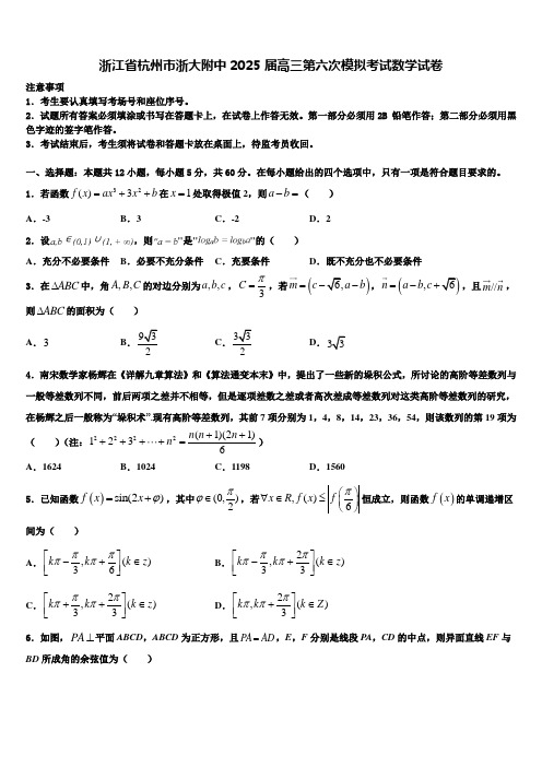 浙江省杭州市浙大附中2025届高三第六次模拟考试数学试卷含解析