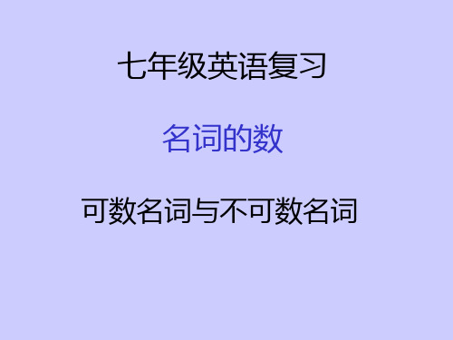 名词 人教版中考英语专题复习(共23张PPT)