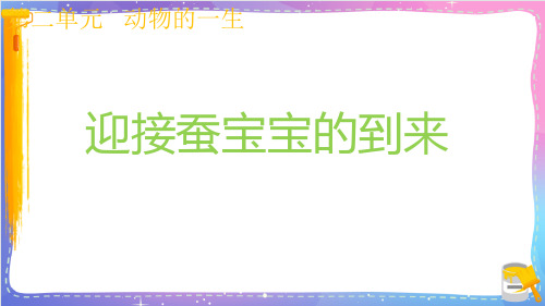 新教科版小学科学三年级下册《迎接蚕宝宝的到来》名师教学课件