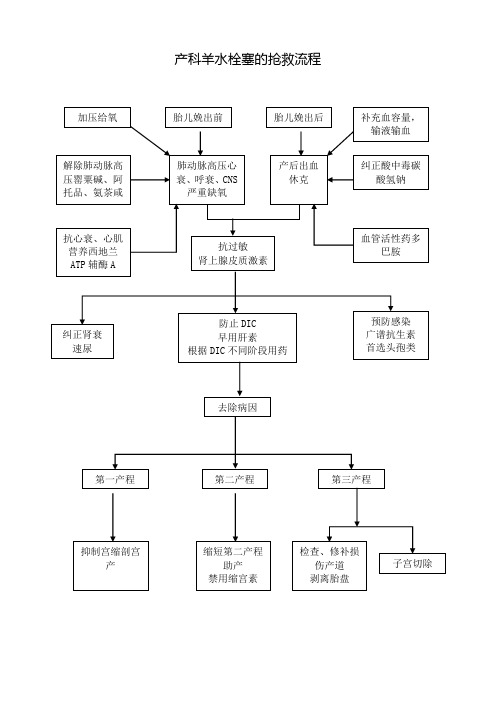 产科羊水栓塞的抢救流程