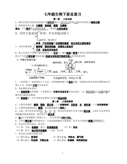 人教版初中七年级下册生物知识点