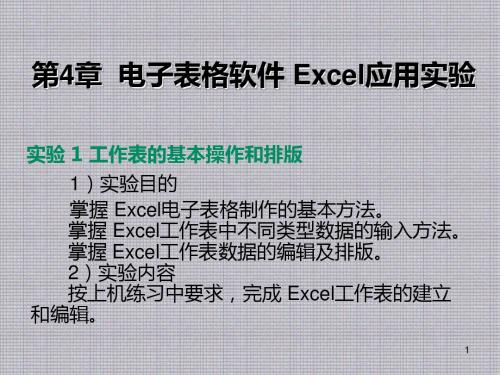 大学计算机基础实验教程第4章  电子表格软件 Excel应用实验