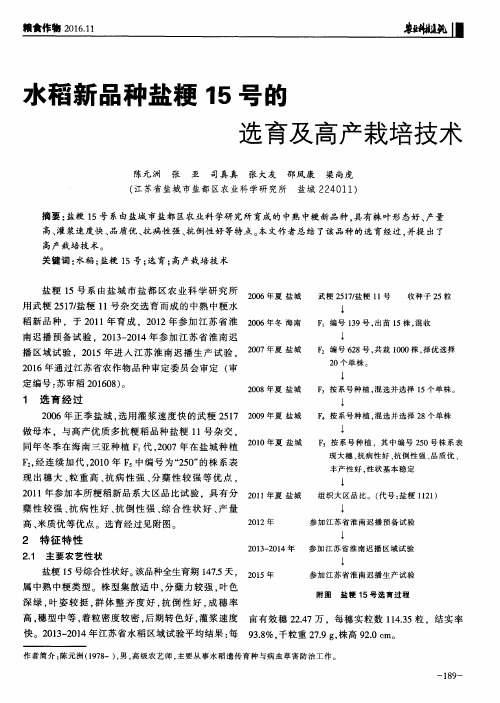 水稻新品种盐粳15号的选育及高产栽培技术
