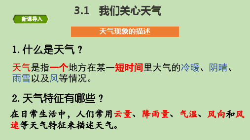 三年级上册科学ppt课件第三单元复习教科版