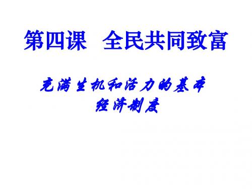 4.1充满生机和活力的经济制度