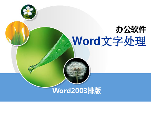 word(3)-项目编号和样式