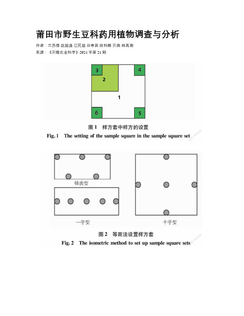 莆田市野生豆科药用植物调查与分析